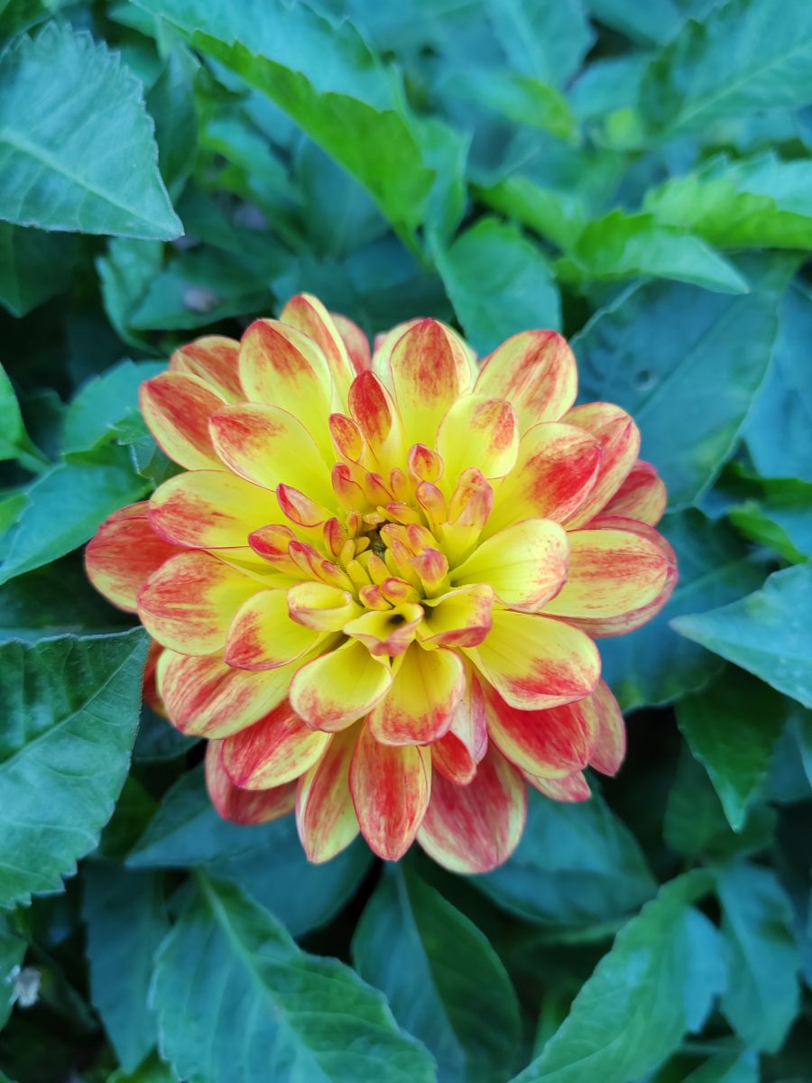 Photos météo à Roza Khutor. Prévisions météo avec de superbes photos de Albert_Smelovtsev