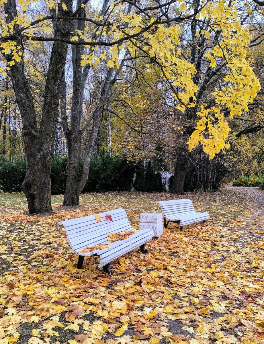 Photographer Jea, Weather Photos in Krestovsky Island - Weawow