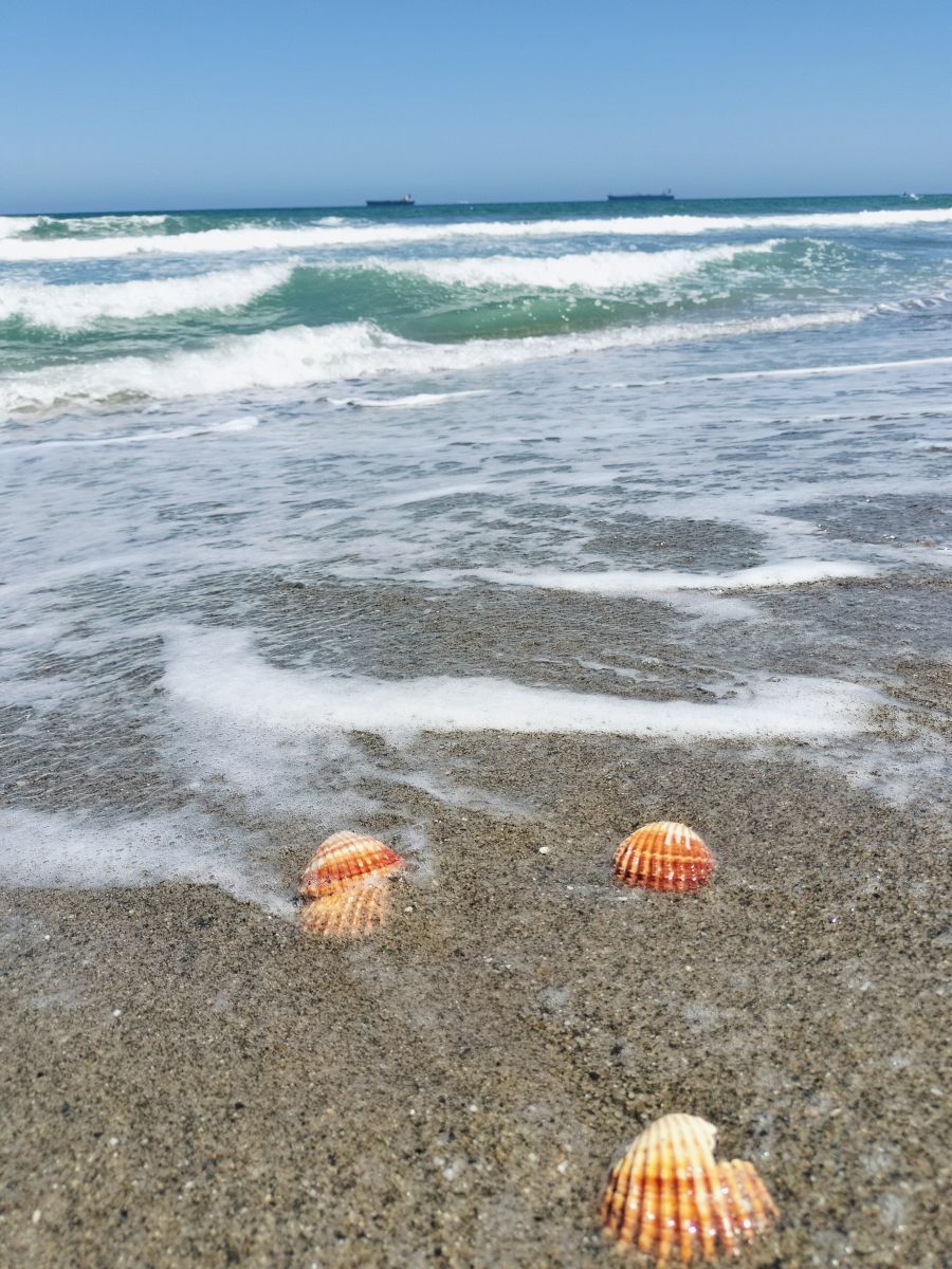 Fotos do tempo em Líbia. Previsões do tempo com lindas fotos de Маргарита Котенко