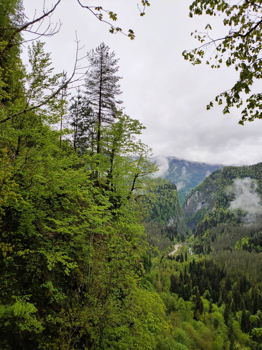 Photographe Belkka303, Photos météo à Abkhazia - Weawow