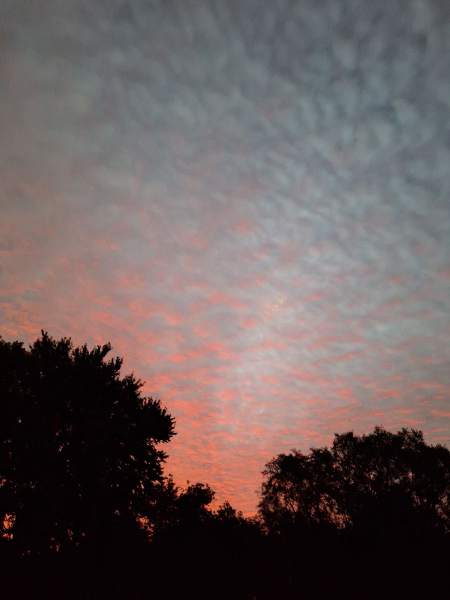 Photographer ccdn0630, Weather Photos in Barrie - Weawow