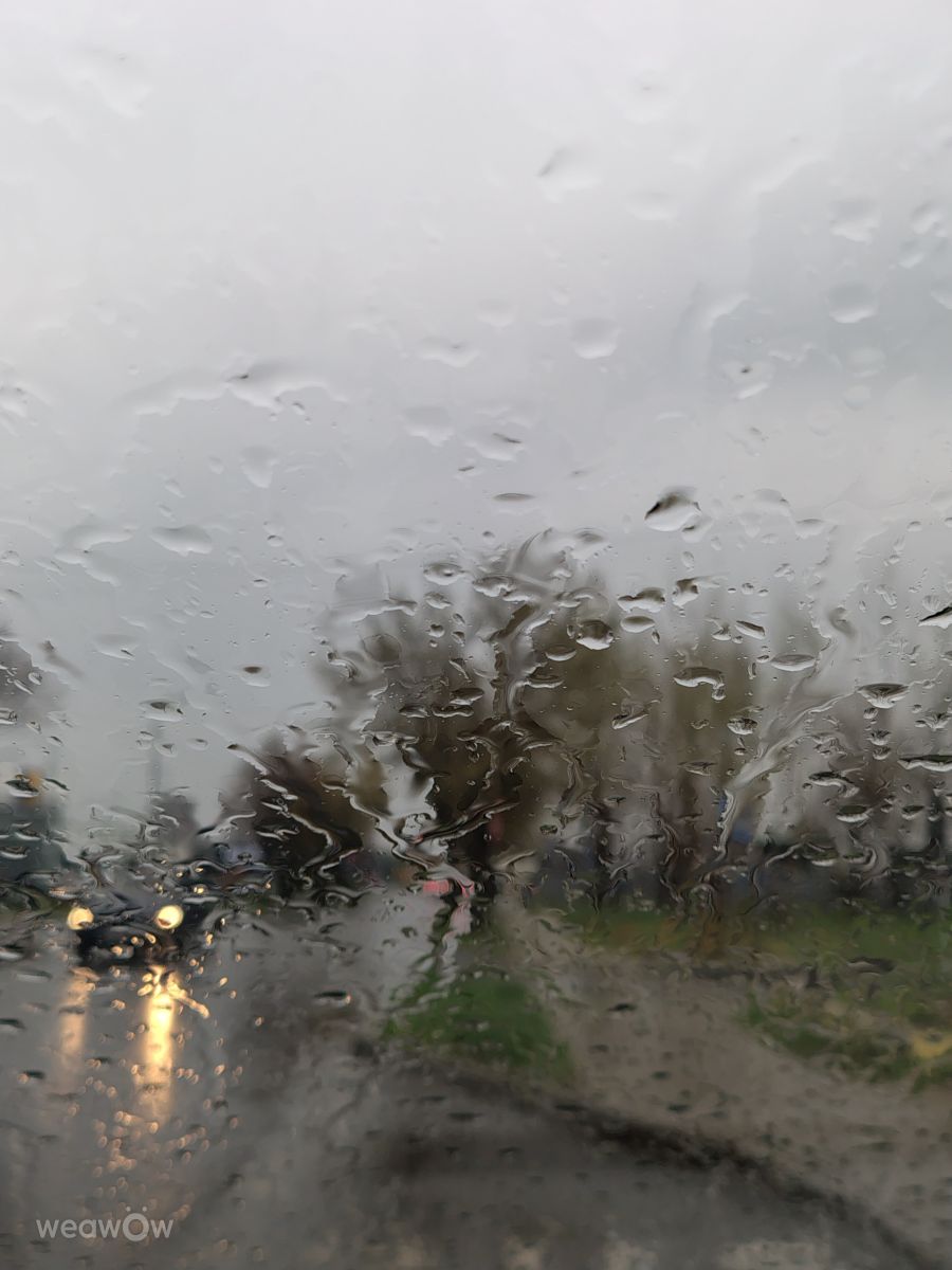Weather Photos in Vrancea. Weather forecasts with beautiful photos by dadan2023