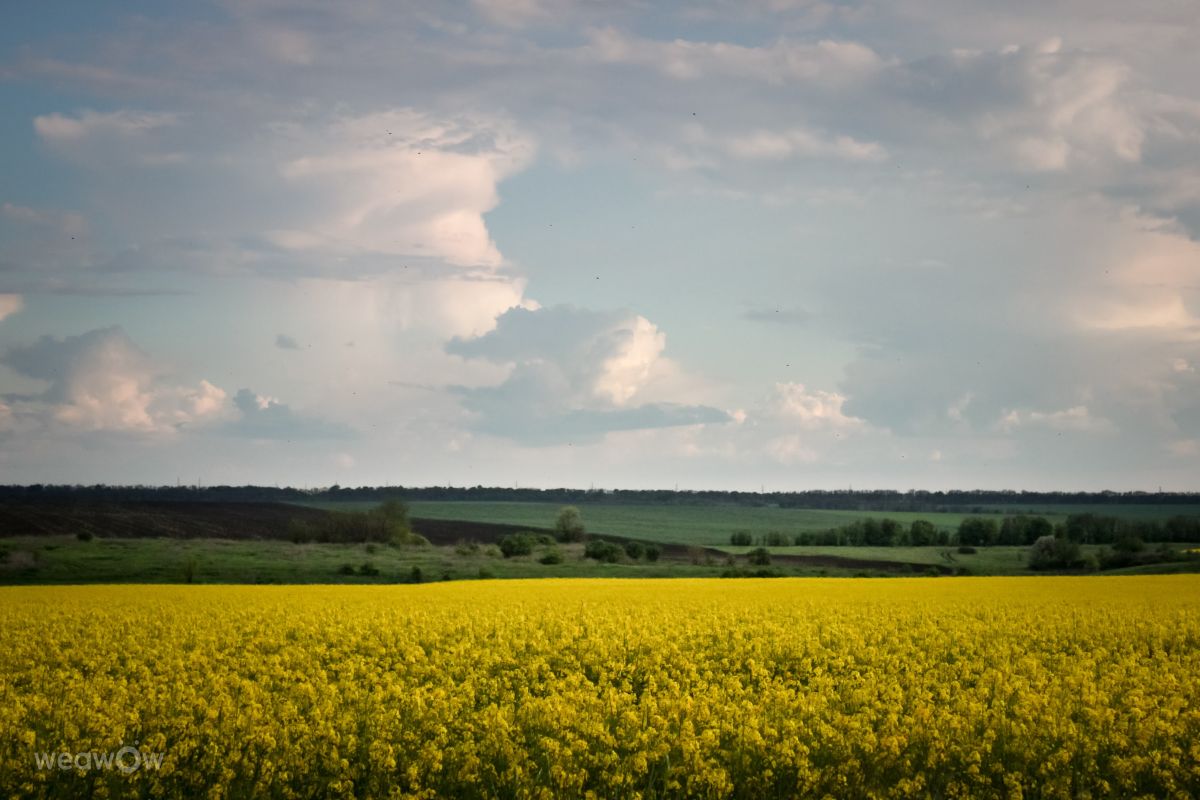 Fotos sobre el clima en Novomoskovsk. Pronósticos del tiempo con hermosas fotos de Yaroslav_Ch