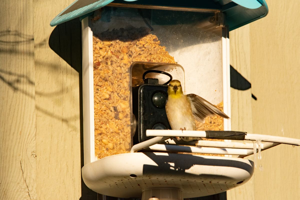 Фотограф krantzjh, Фотографии Погоды в Hanover - Weawow