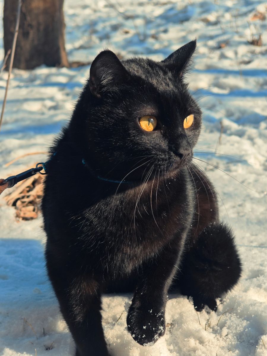 Wetter Photos Kropywnyzkyj. Wettervorhersagen mit schönen Fotos von Synieok