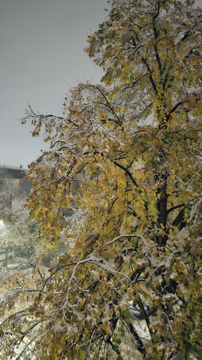 Weather forecasts with beautiful photos by MR