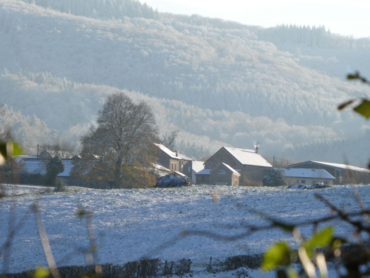 Weather Photos in Le Mayet-de-Montagne. Weather forecasts with beautiful photos by Fredy_Hiker