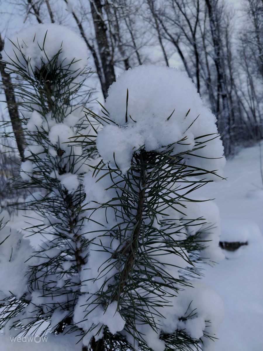 Фотографии Погоды в Тульская Область. Прогнозы погоды с чудесными фотографиями, сделанными Svetlana3