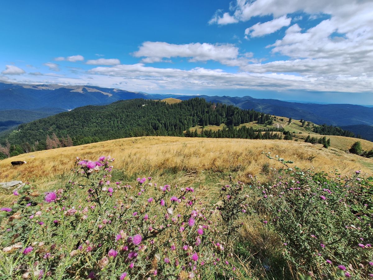 Weather Photos in Judetul Dambovita. Weather forecasts with beautiful photos by Iwonne
