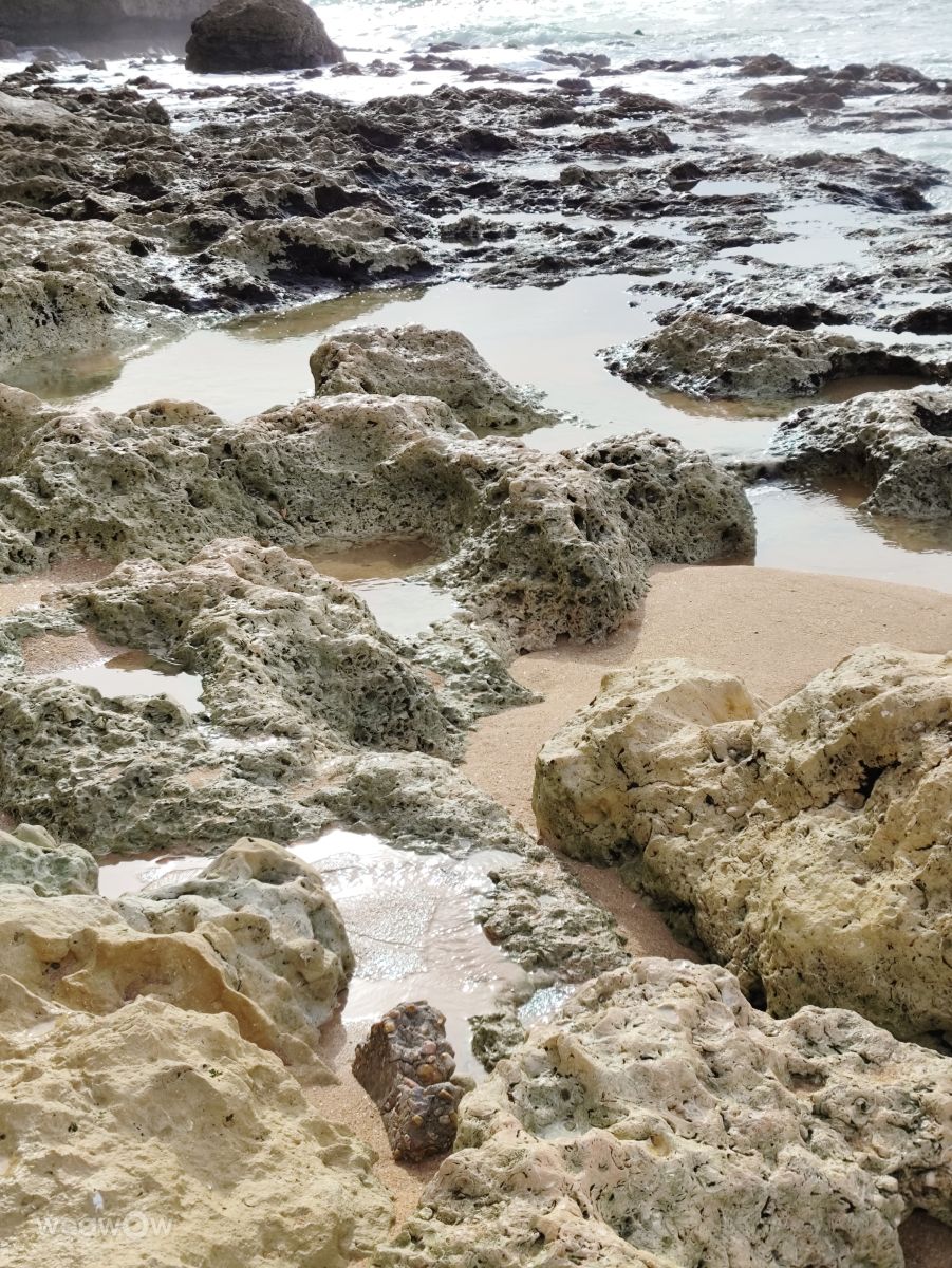Фотограф Brtd, Фотографии Погоды в Praia do Carvoeiro - Weawow