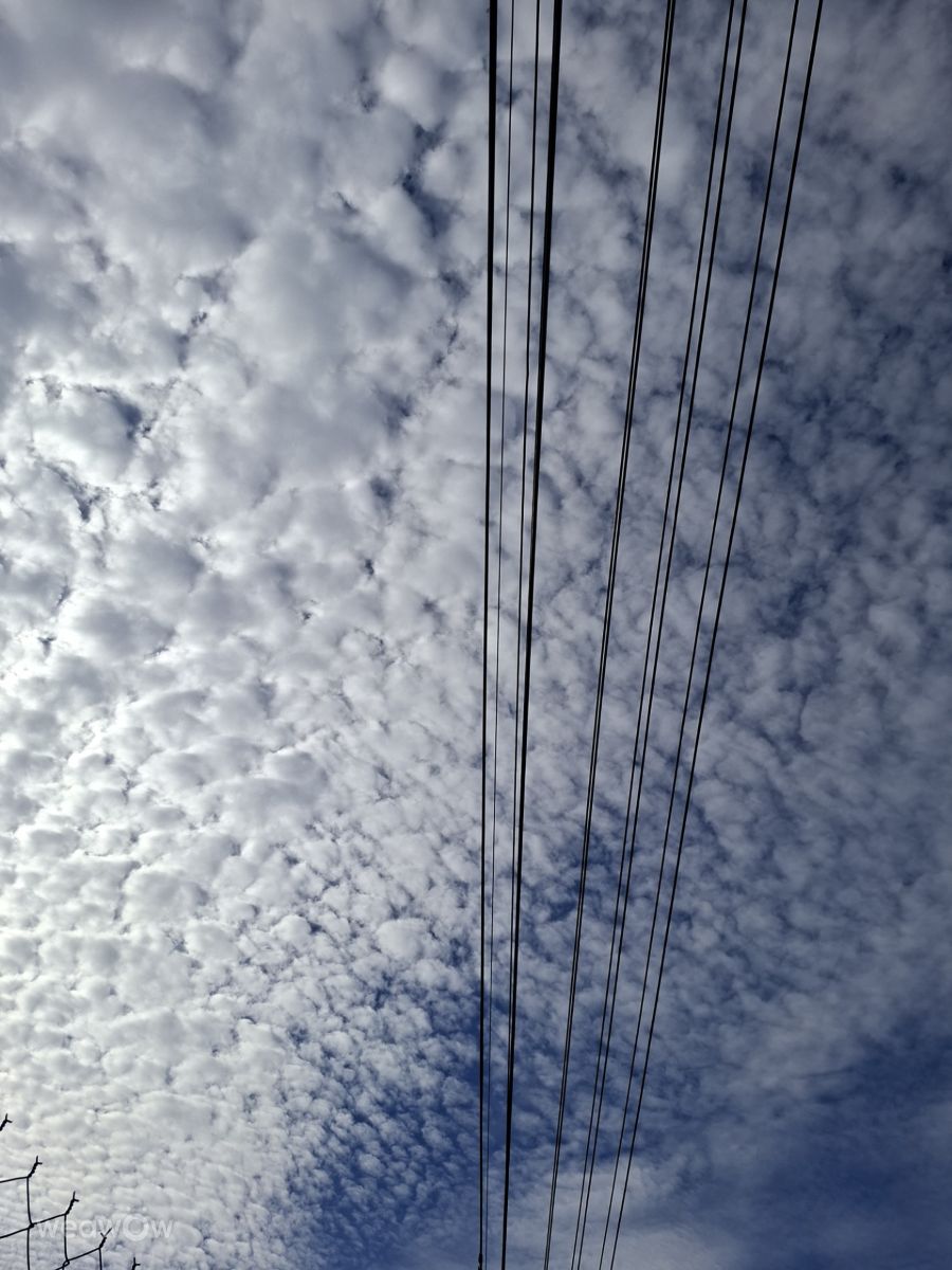 Photographer Wen-ya Huang, Weather Photos in Kaohsiung City - Weawow