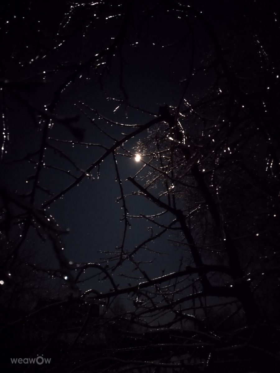 Weather Photos in Ukraine. Weather forecasts with beautiful photos by mikhai