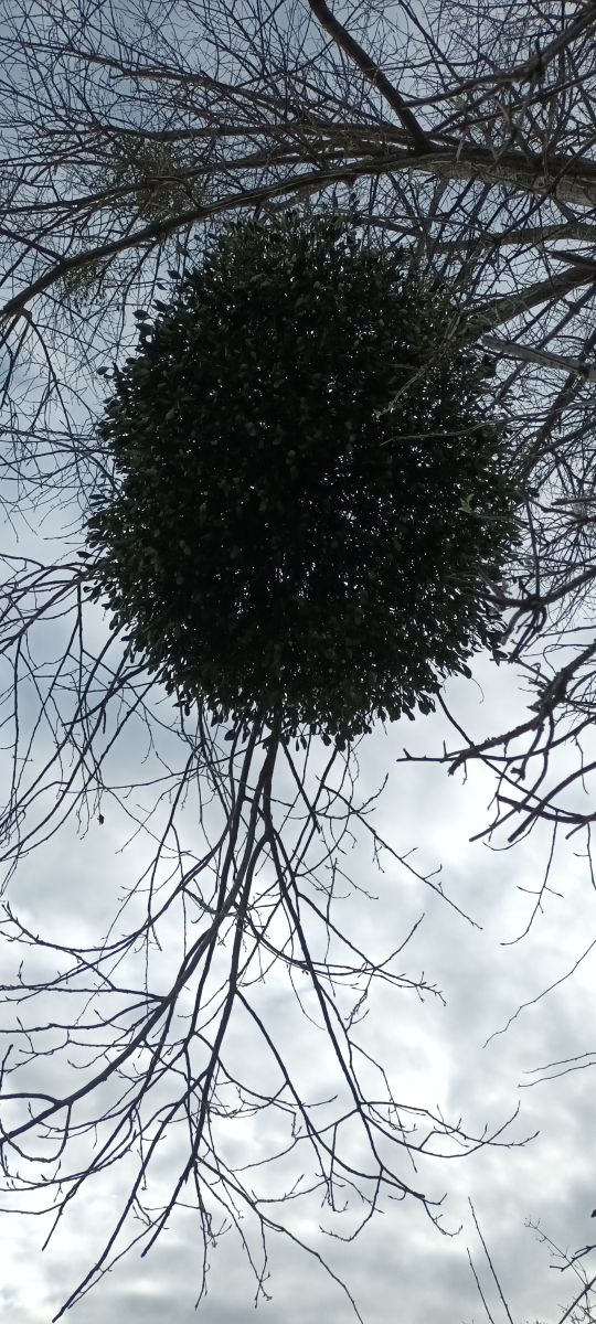 Wateringburyの天気写真. Lolliの美しい写真による天気予報