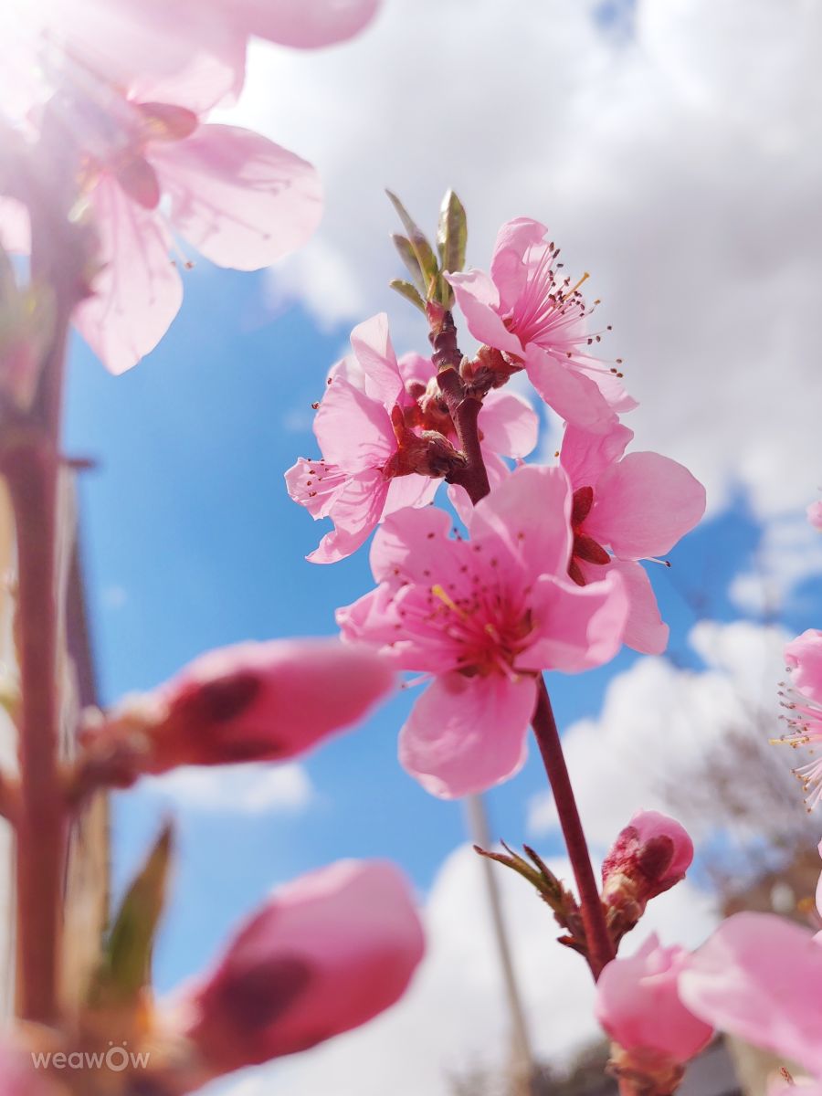 Weather forecasts with beautiful photos by selizci