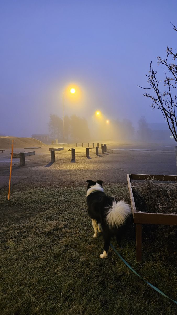 Prévisions météo avec de superbes photos de Piia