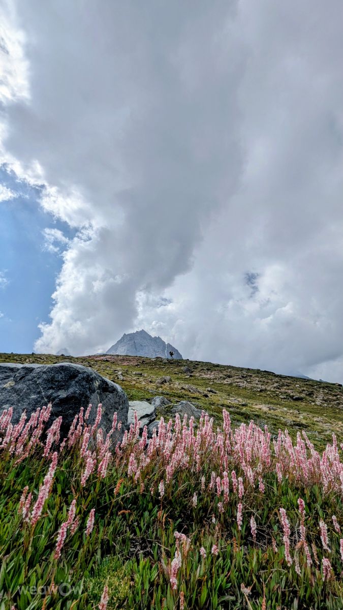 Previsões do tempo com lindas fotos de Trekchitral