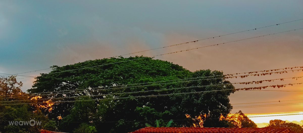 Hình ảnh Thời tiết ở Barinitas. Dự báo thời tiết với những bức ảnh đẹp của Ninibeth García
