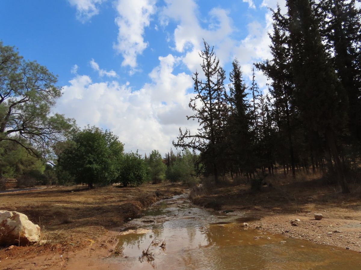 Prévisions météo avec de superbes photos de Sviatoslav