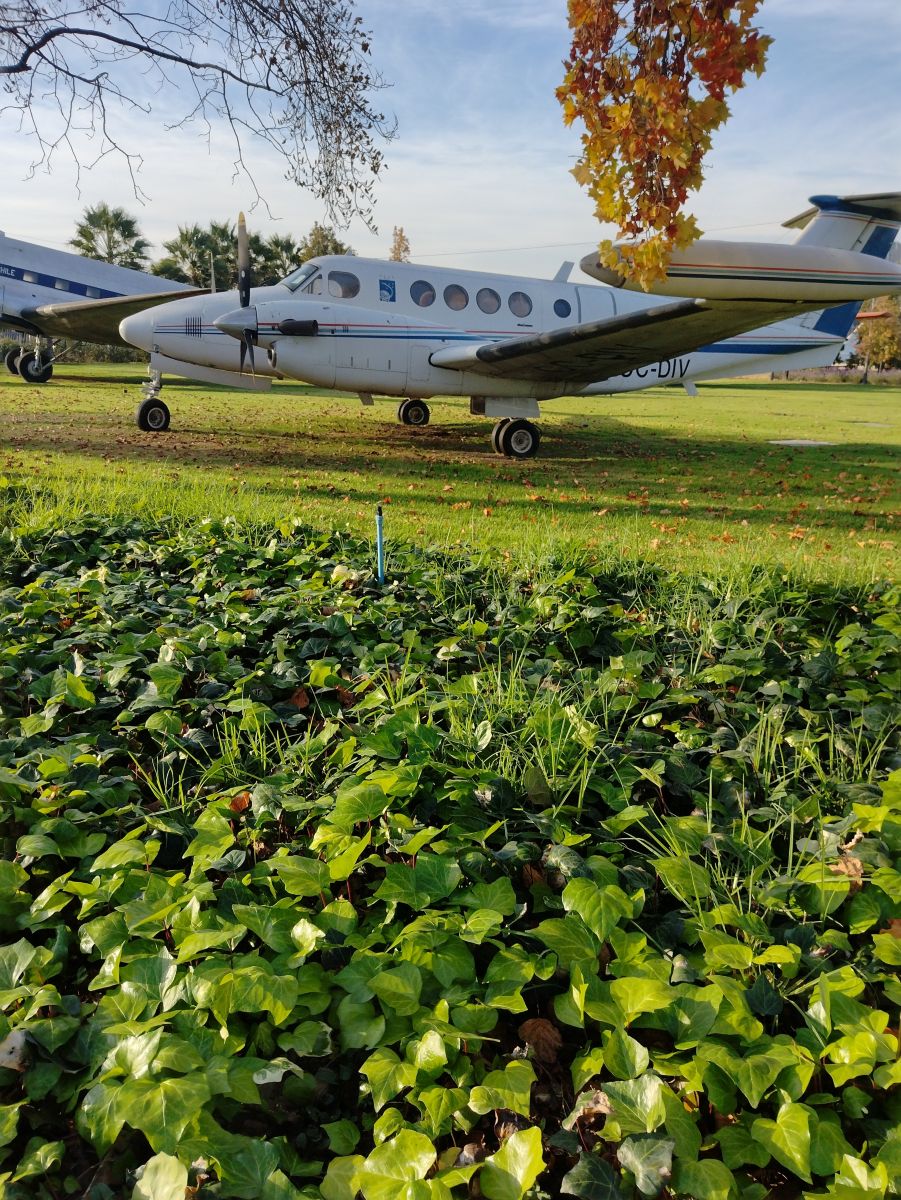 圣地亚哥首都大区的天气照片. 天气预报，带Joana Alejandra Tapia精美的照片