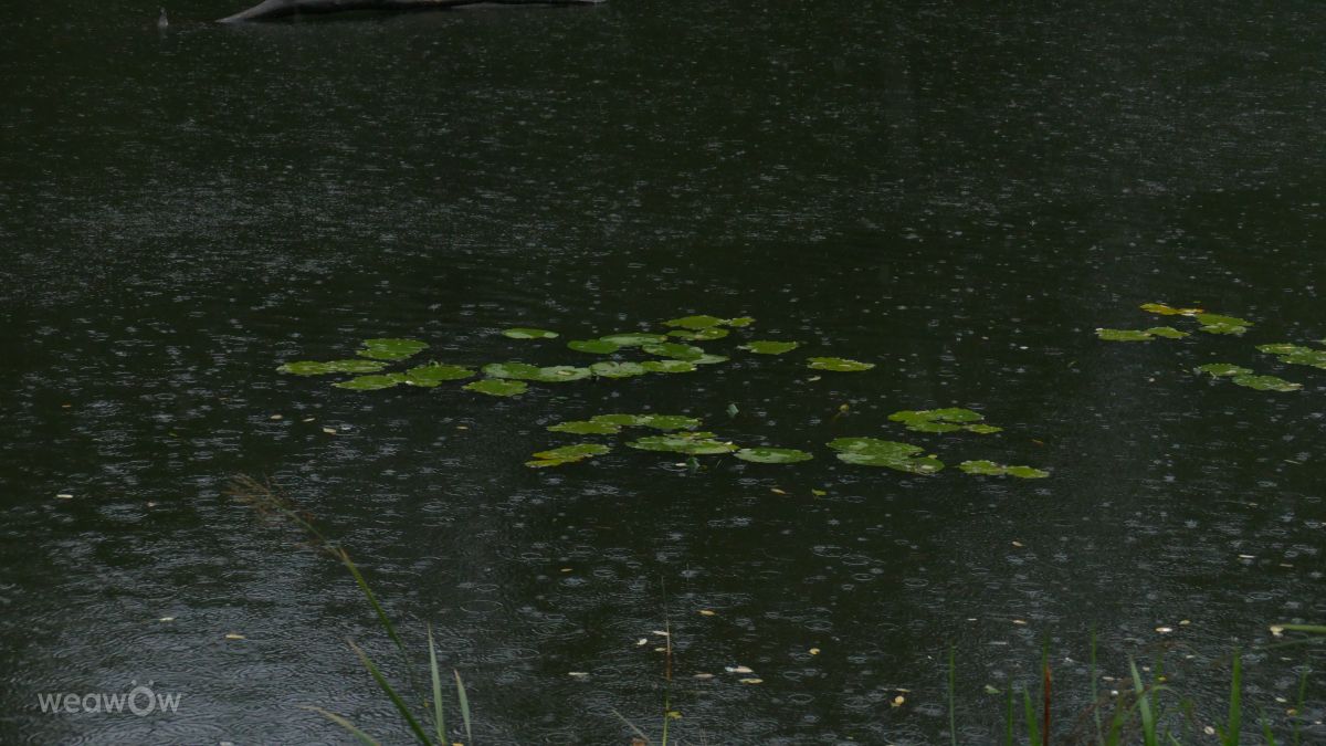 Fotografos Vasek325, Fotos do tempo em Praha 12 - Weawow