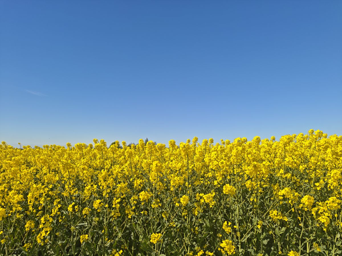 Weather forecasts with beautiful photos by Leon Amme