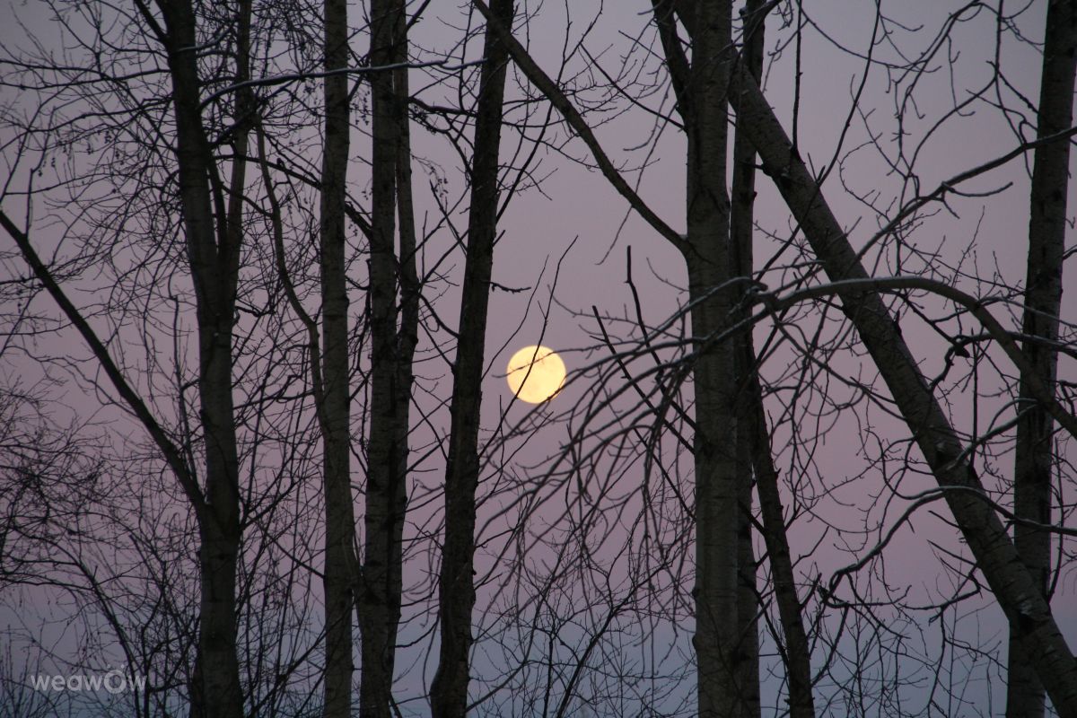 Weather Photos in Stantsiya Lavriki. Weather forecasts with beautiful photos by urubu