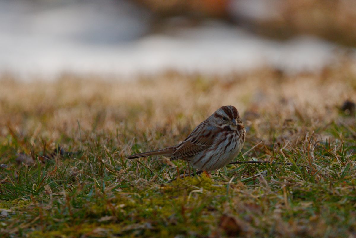 Фотографии Погоды в Hanover. Прогнозы погоды с чудесными фотографиями, сделанными krantzjh