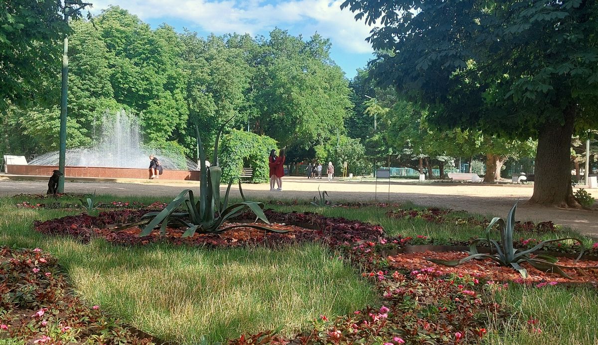 Fotos sobre el clima en Taganrog. Pronósticos del tiempo con hermosas fotos de marimouse3