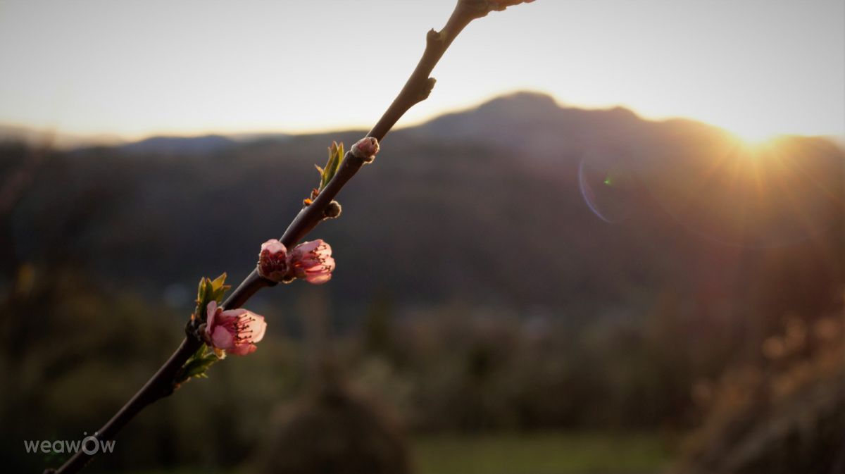 Fotos sobre el clima en Chernivtsi. Pronósticos del tiempo con hermosas fotos de Маша Дзерин