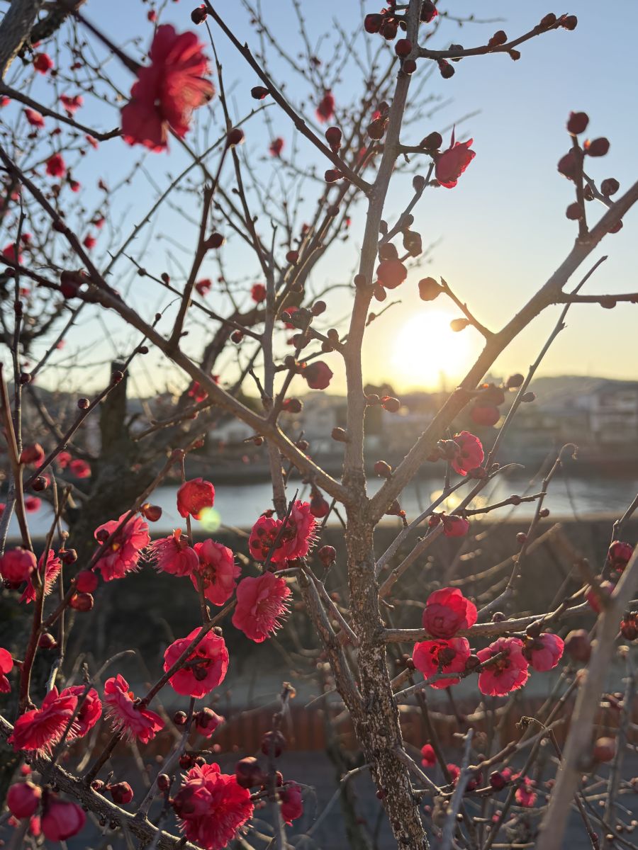 Pronósticos del tiempo con hermosas fotos de あさのジジ