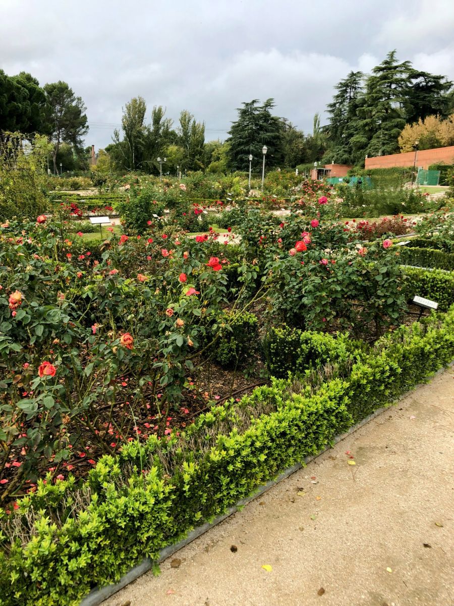 Photographer Lulu5523, Weather Photos in Madrid - Weawow