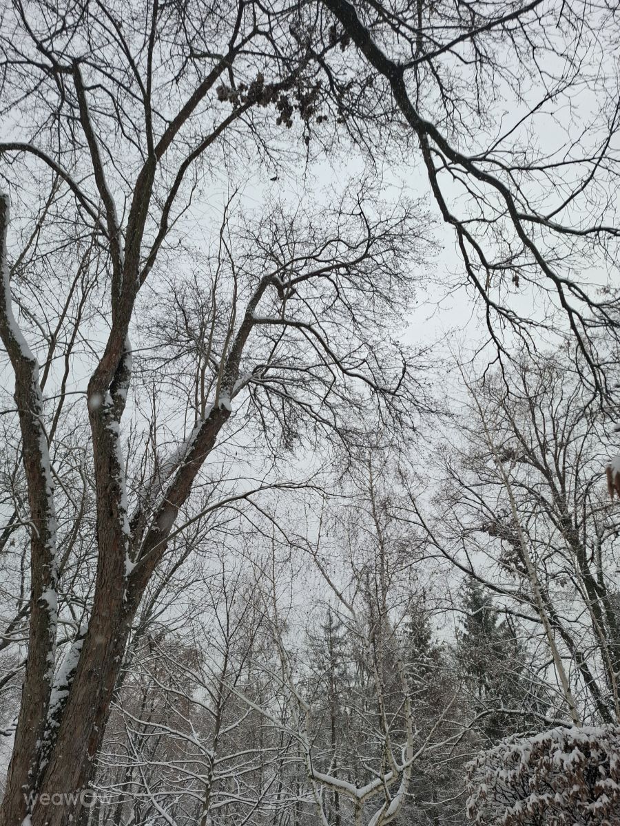 Photographer Iryna, Weather Photos in Kharkiv - Weawow