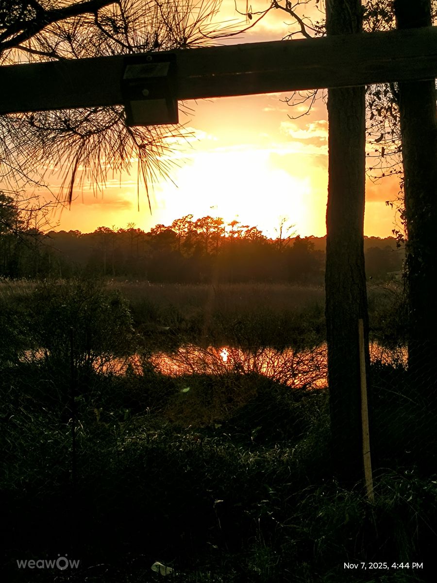Photos météo à North Carolina. Prévisions météo avec de superbes photos de EZ1