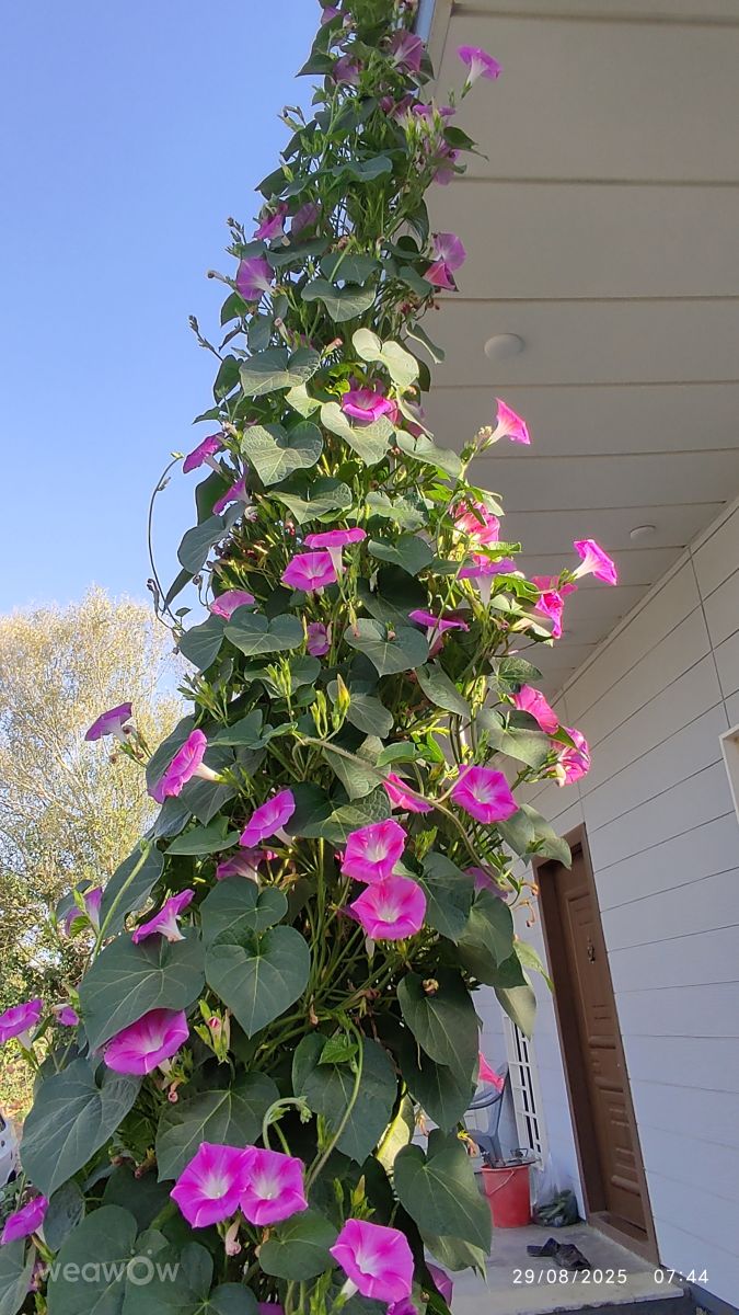 West Azerbaijanの天気写真. Par Jamの美しい写真による天気予報