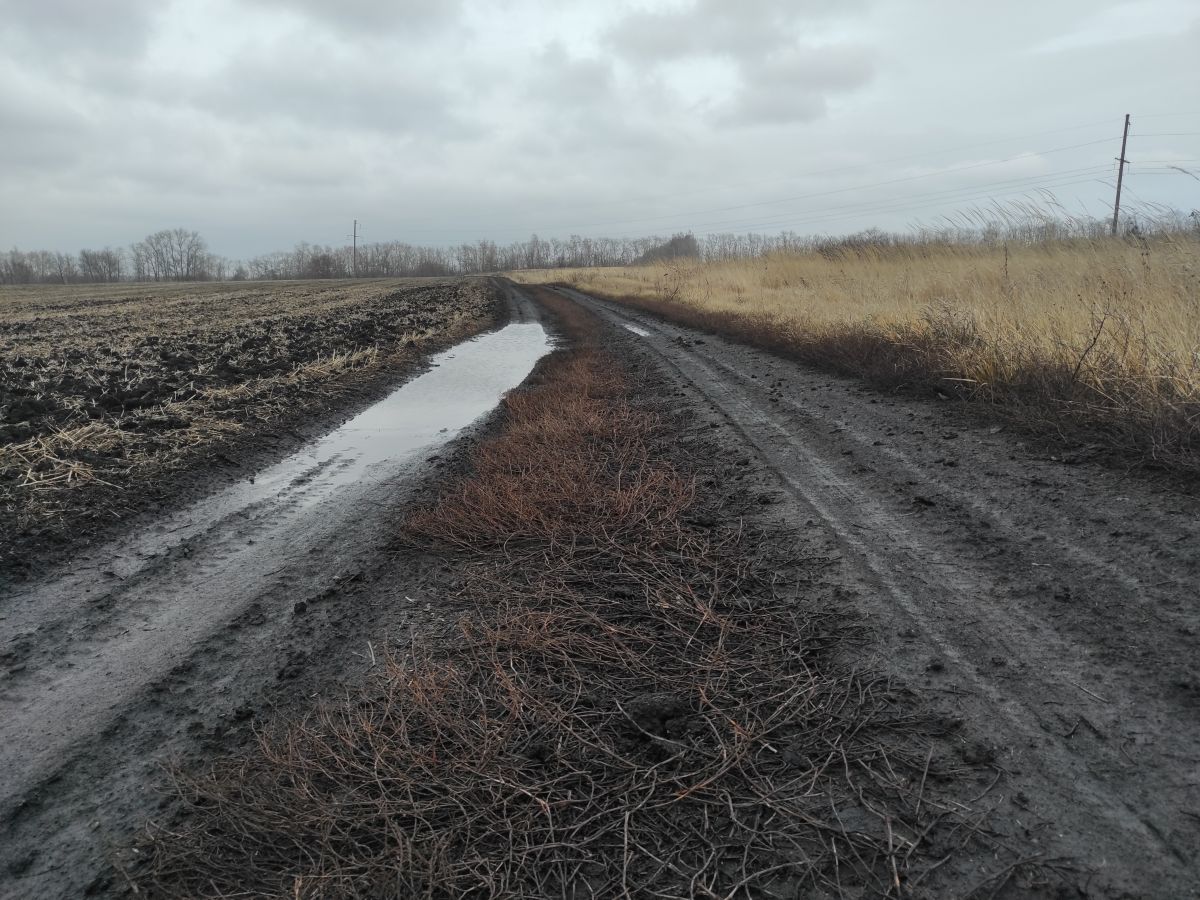 Wetter Photos Mordwinien. Wettervorhersagen mit schönen Fotos von Вильдим