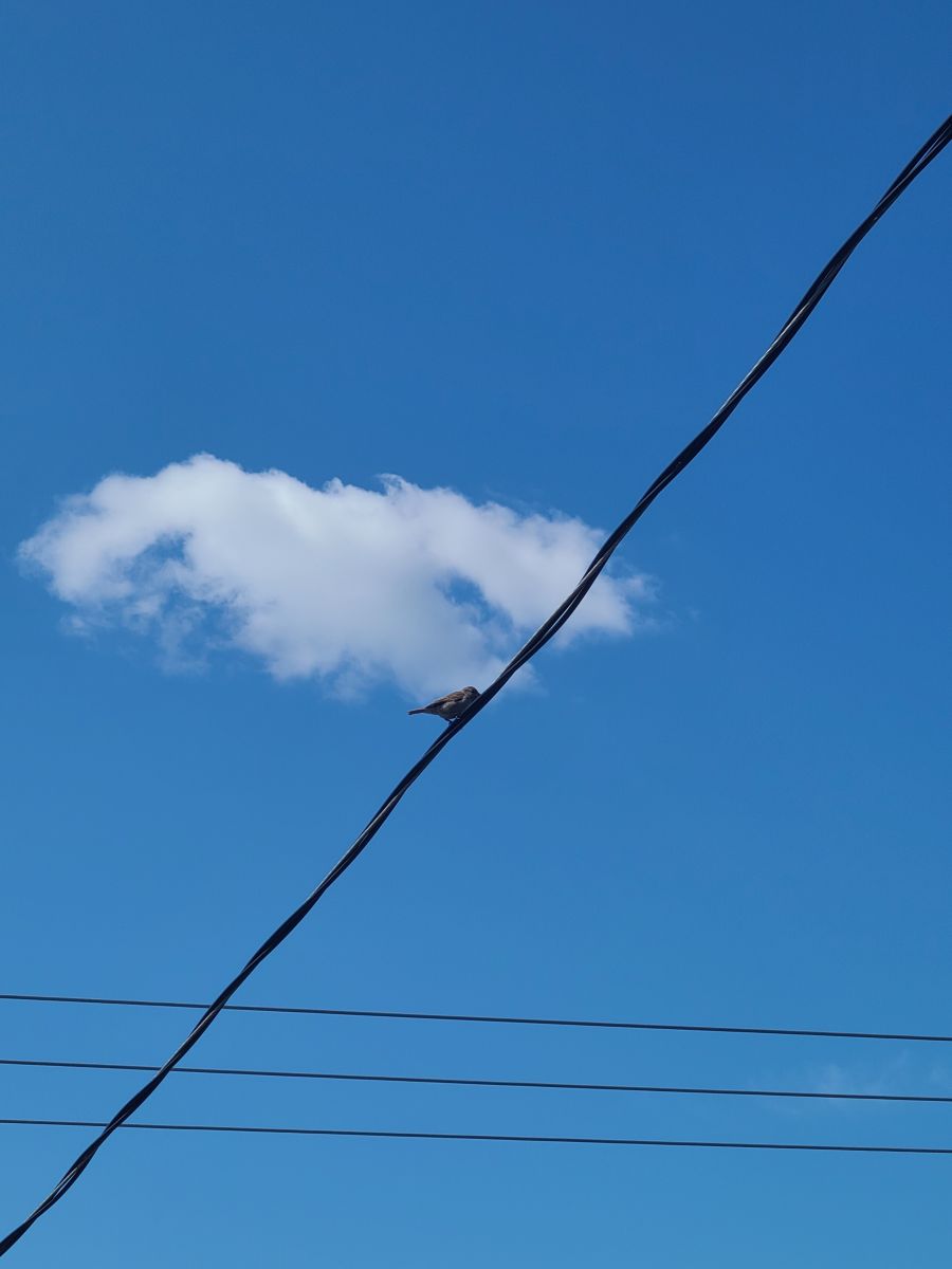 Weather Photos in Canada. Weather forecasts with beautiful photos by also-and-also