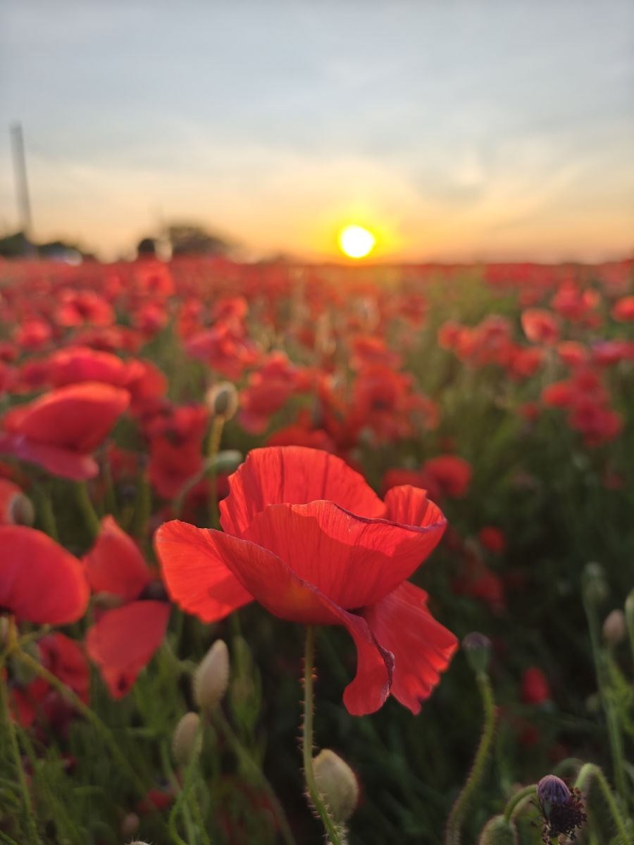 Weather forecasts with beautiful photos by FilmOlsztyn_pl