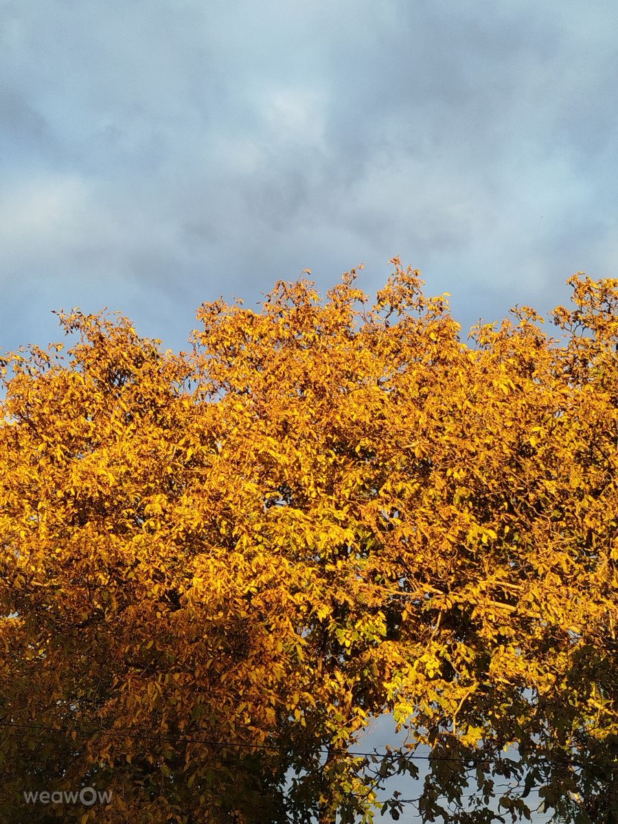 Fotos sobre el clima en Moldavia. Pronósticos del tiempo con hermosas fotos de Alex Rumniex
