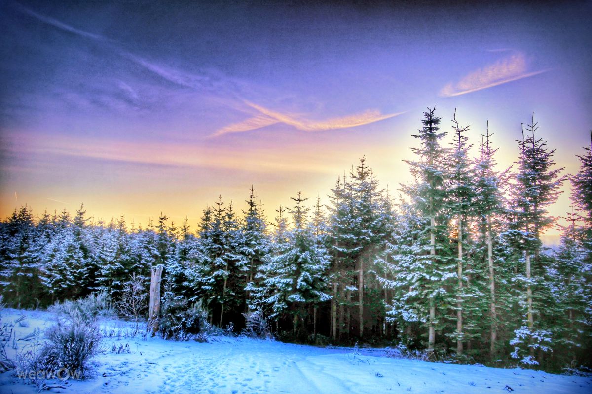 Weather forecasts with beautiful photos by Lotti5507