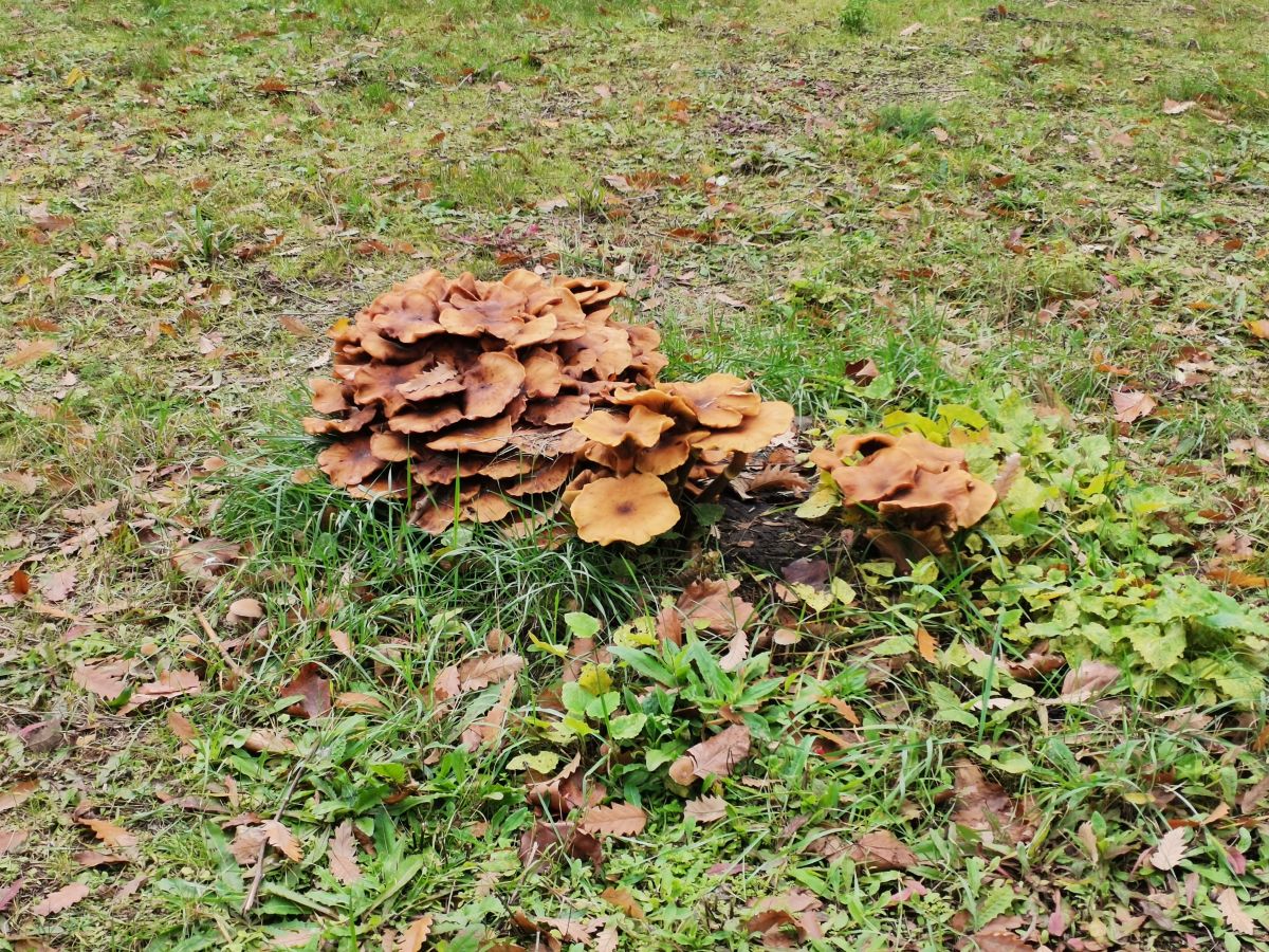 13 Boulevard de l'Hôpital的天气照片. 天气预报，带NikolayPaunchev精美的照片