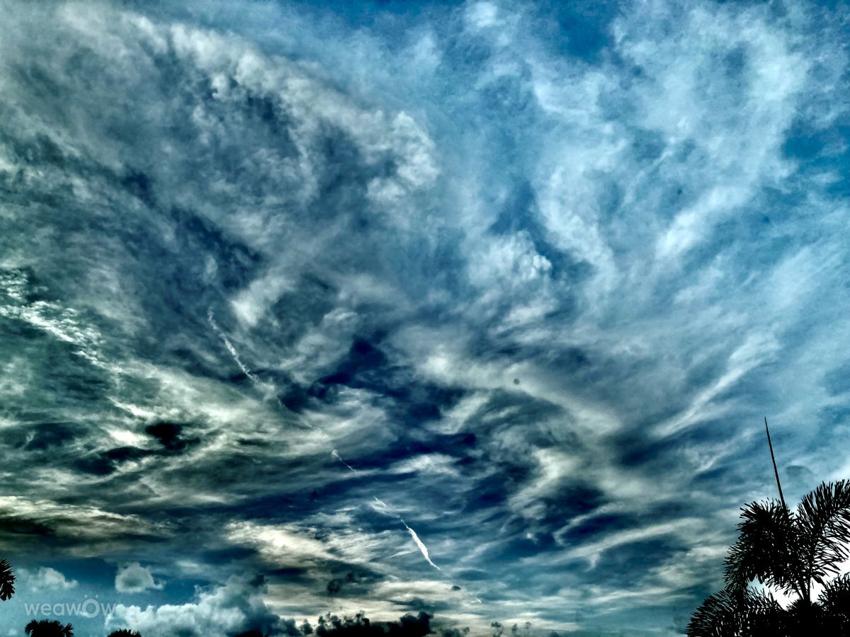 Weather Photos in Port Saint Lucie. Weather forecasts with beautiful photos by FaeryInFlorida
