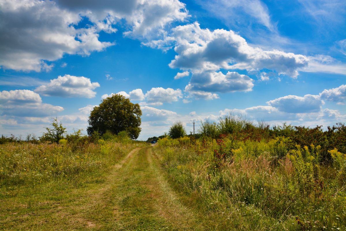 Weather Photos in Ukraine. Weather forecasts with beautiful photos by Andrie
