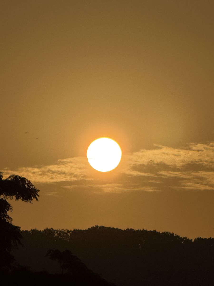 Wettervorhersagen mit schönen Fotos von あさのジジ