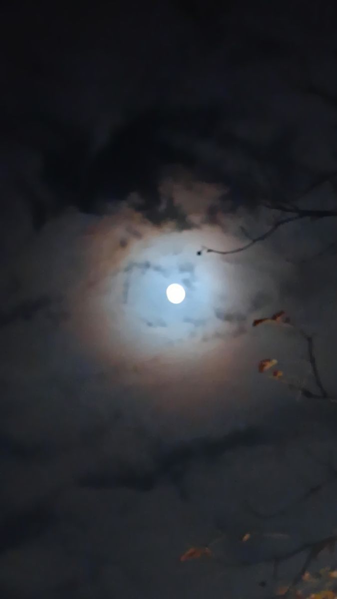 Fotógrafo YanBog, Fotos sobre el clima en București - Weawow