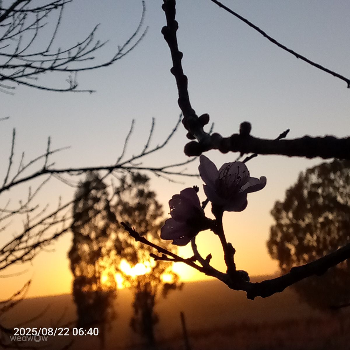 Fotos do tempo em Gauteng. Previsões do tempo com lindas fotos de Jj2425