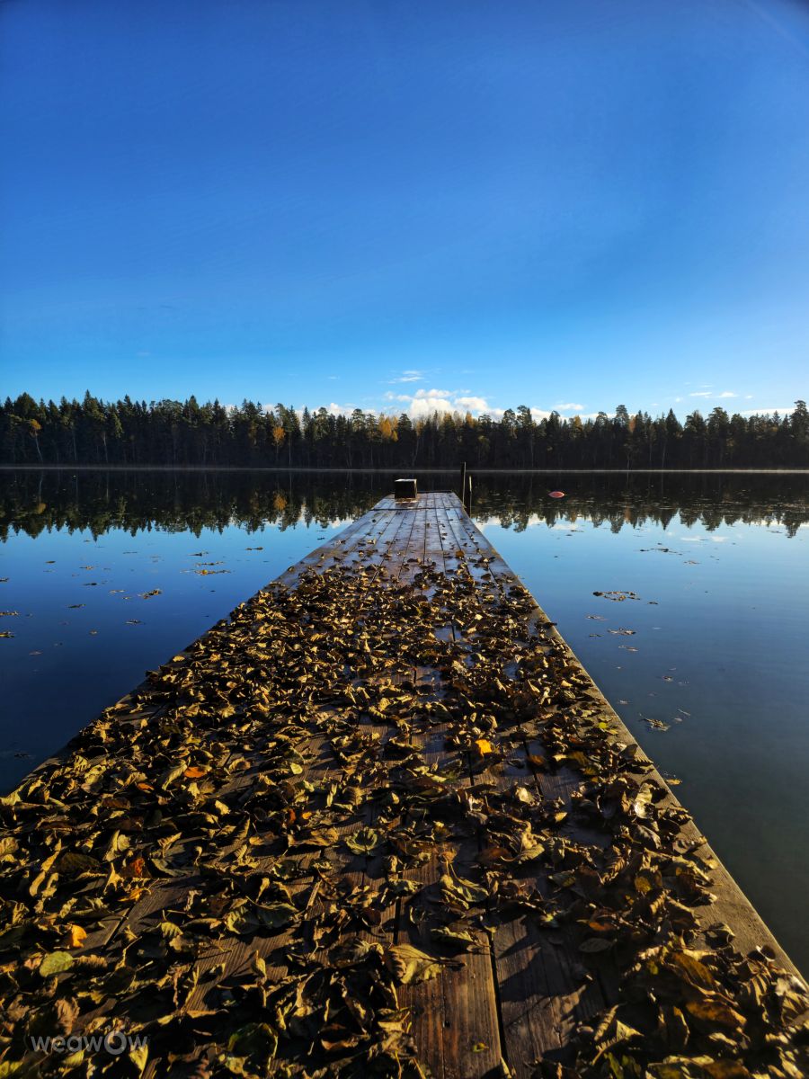 Prévisions météo avec de superbes photos de Priit