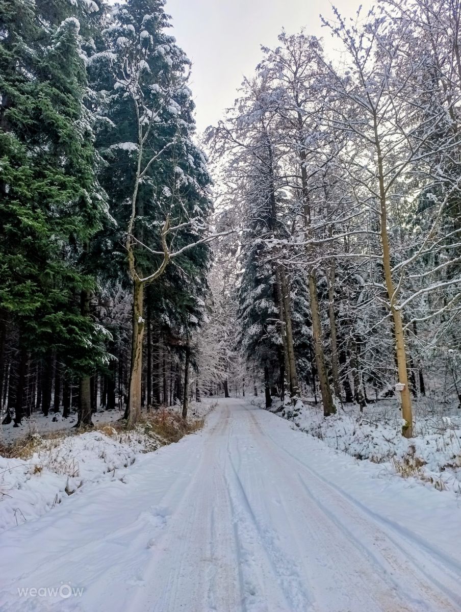 Photograph Kripo, Wetter Photos Ladek Zdroj - Weawow