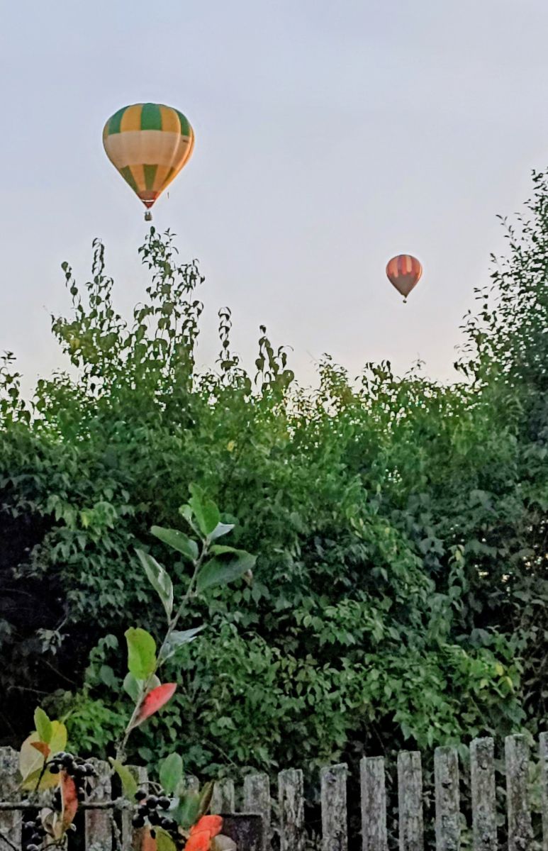 Hình ảnh Thời tiết ở Moscow Oblast. Dự báo thời tiết với những bức ảnh đẹp của 19Larisa46