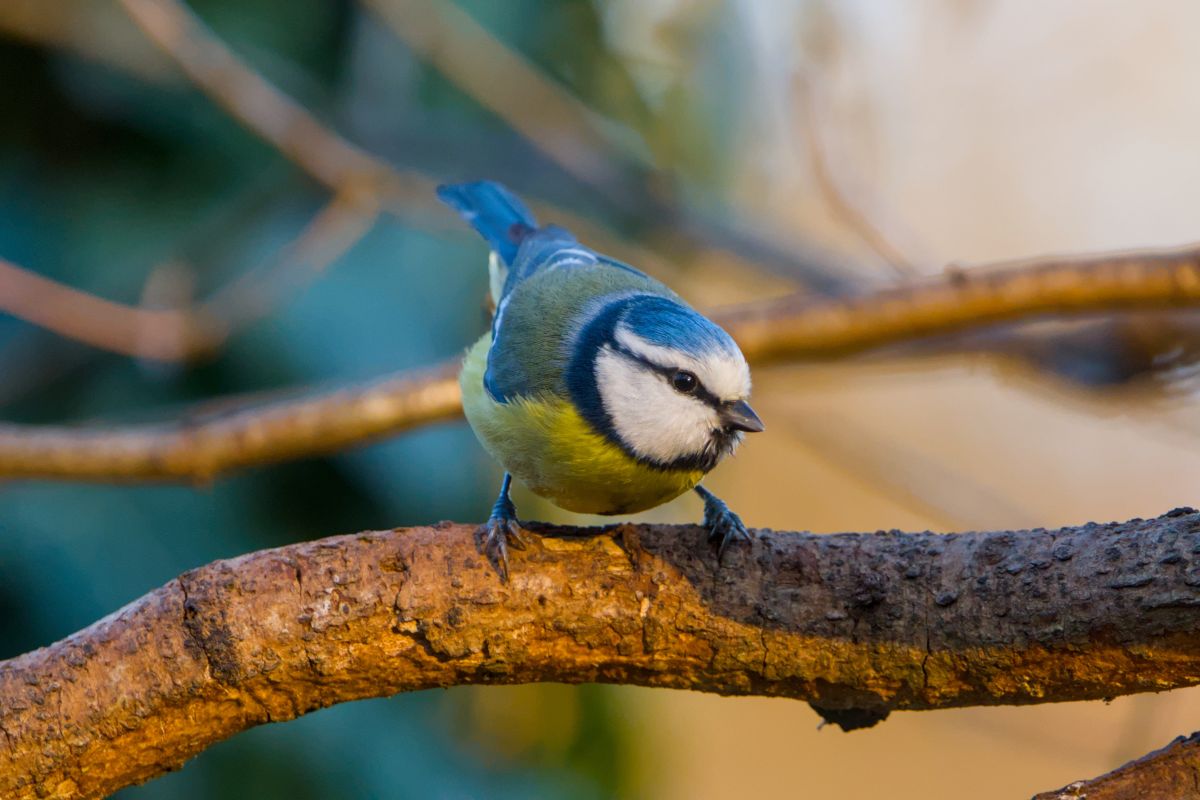 Weather forecasts with beautiful photos by Nebula_andNature