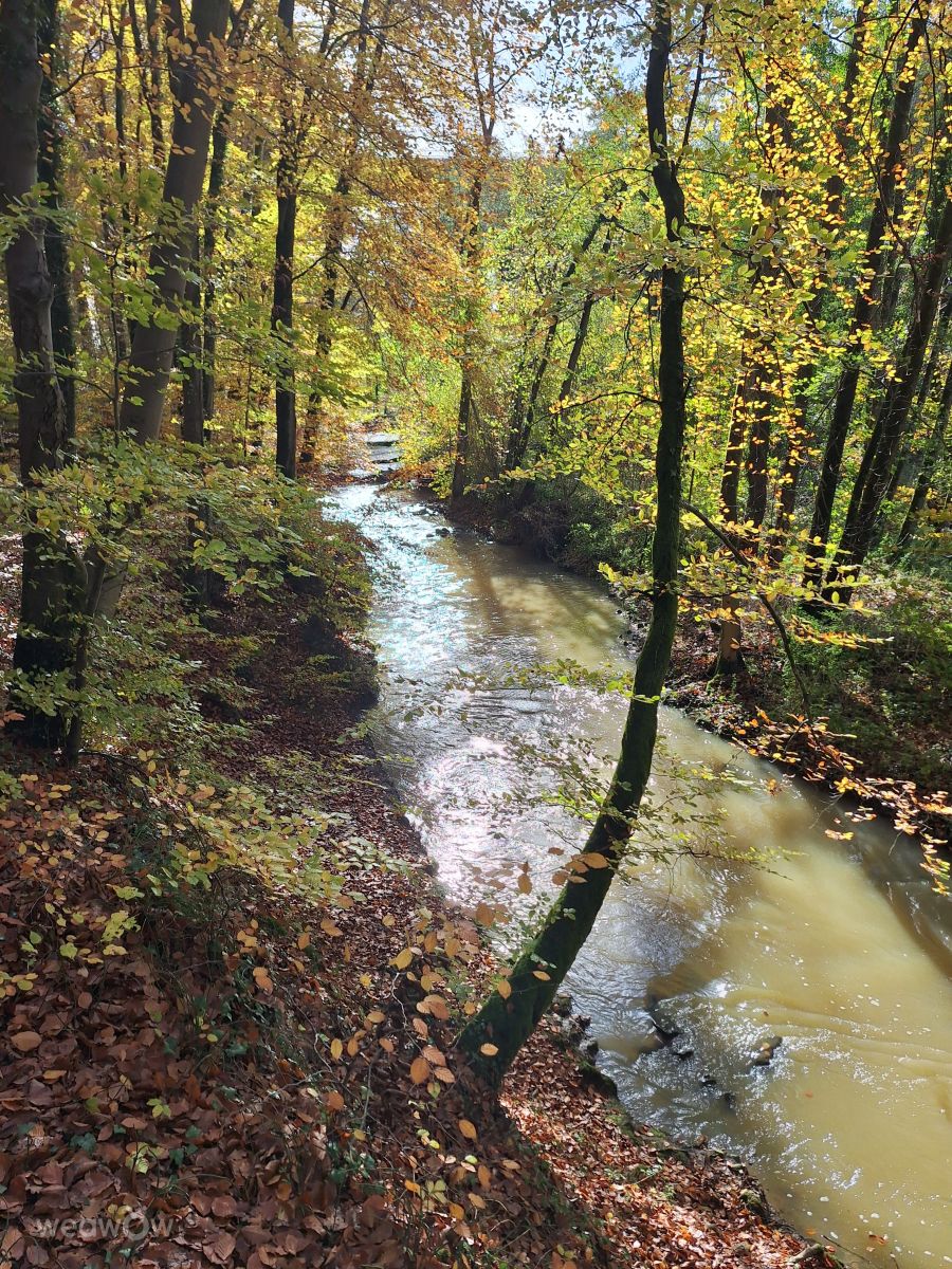 Weather Photos in Luxembourg. Weather forecasts with beautiful photos by lremmy